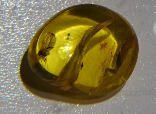 Ambre, spécimen de galet roulé avec insecte à l'intérieur, de 17x14x8 mm. Superbe pièce pour bijouterie ou collection !