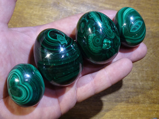 Sélection d'oeufs en malachite, de 57 à 177 grammes, de 35 à 50 millimètres de diamètre. Très belle qualité, parfait pour la lithothérapie, collection, exposition... !