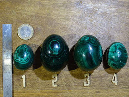 Sélection d'oeufs en malachite, de 57 à 177 grammes, de 35 à 50 millimètres de diamètre. Très belle qualité, parfait pour la lithothérapie, collection, exposition... !