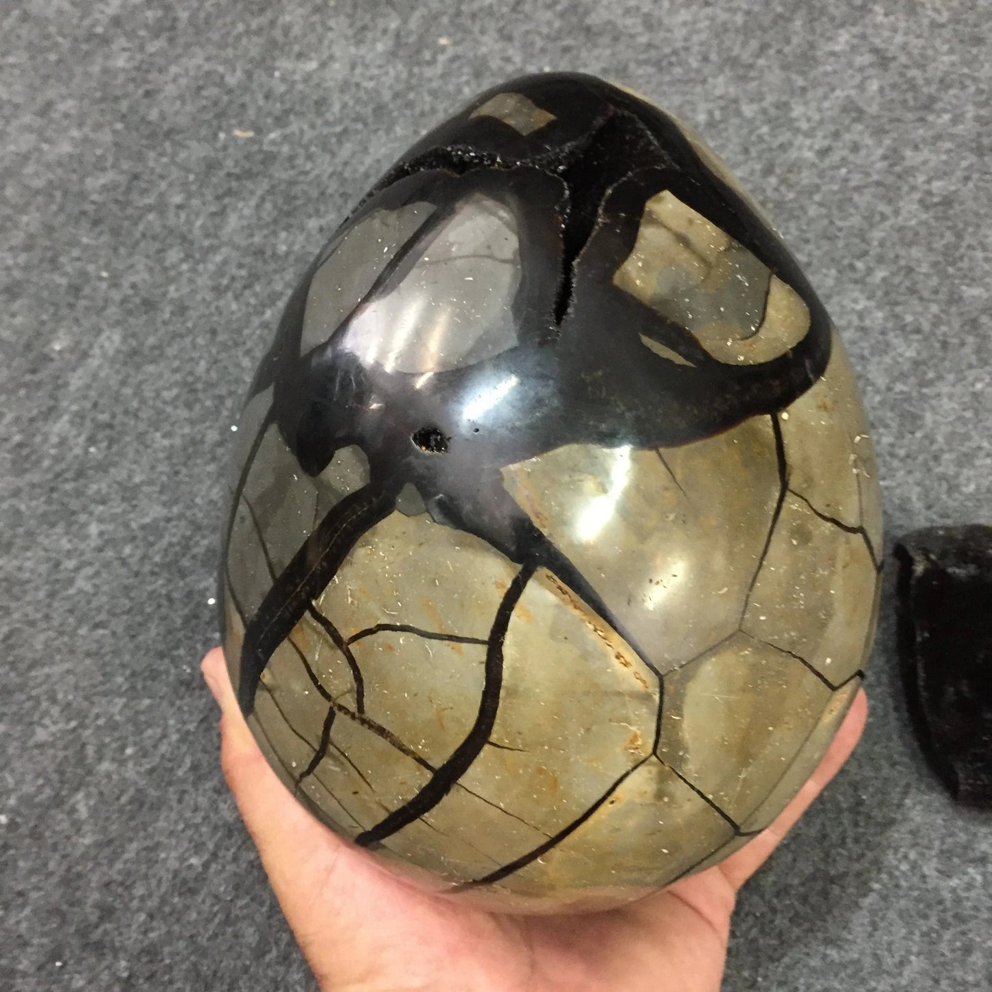 Septaria, oeuf de taille XL en 2 parties, 2,3 kilogrammes, 18x 12 x 12 centimètres. Superbe qualité, incroyables effets positifs pour vos collections, expositions...