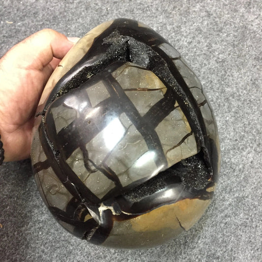 Septaria, oeuf de taille XL en 2 parties, 2,3 kilogrammes, 18x 12 x 12 centimètres. Superbe qualité, incroyables effets positifs pour vos collections, expositions...
