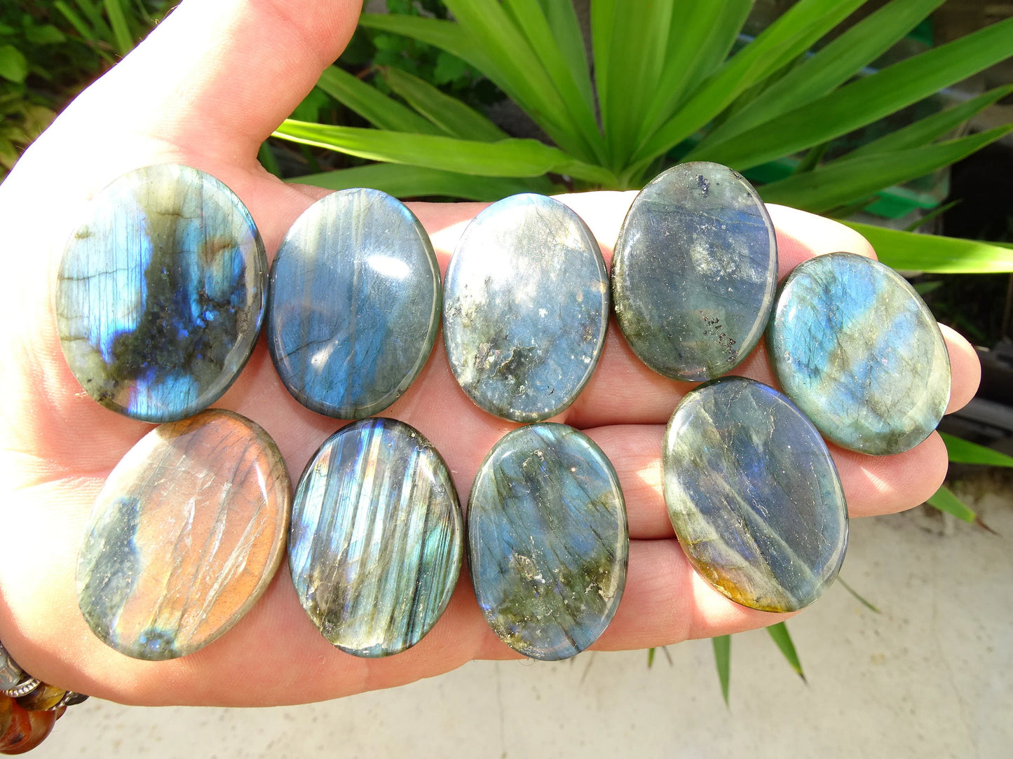 Labradorite, sélection de pierres plates, modèles au choix, environ 40x30x9 mm - 20 à 22 grammes. Parfait pour être monter en bijouterie. Très belle qualité, des reflets hologramme incroyable ! vente à l'unité ou lot complet !