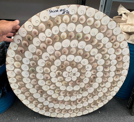 Table Ronde en coqullage d'oeil de Sanite-Lucie, 70 x 3 cm. Parfait pour fabriquer la table de vos rêves ou en décoration, exposition...