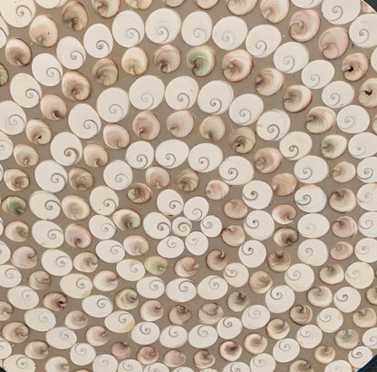 Table Ronde en coqullage d'oeil de Sanite-Lucie, 70 x 3 cm. Parfait pour fabriquer la table de vos rêves ou en décoration, exposition...