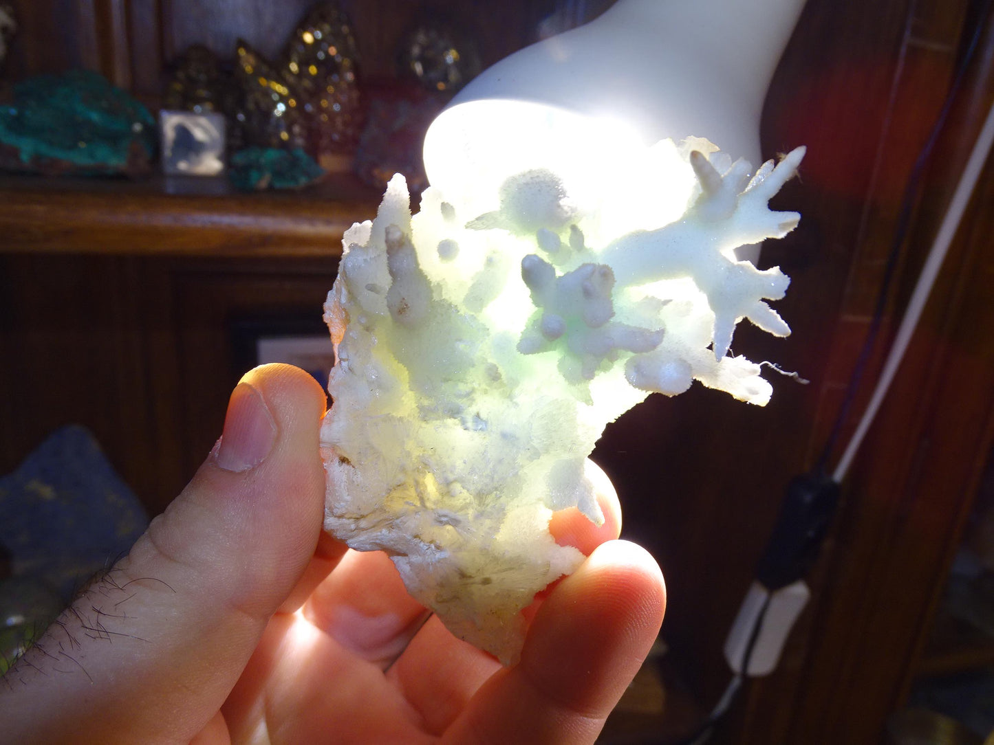 Aragonite verte de France, magnifique spécimen de 86 x 62 x 42 mm - 103,3 grammes. Des formes rares et uniques, une couleur superbe !