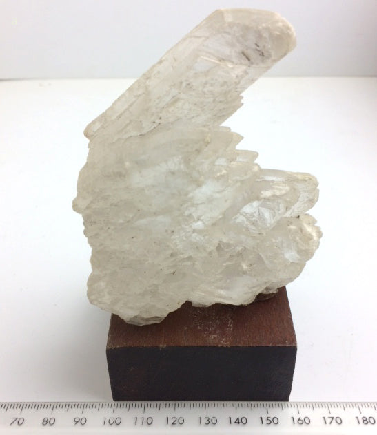 Gypse (variété Sélénite) - Pièce naturelle sur socle en bois de 110 × 70 × 30 mm - 170 grammes !