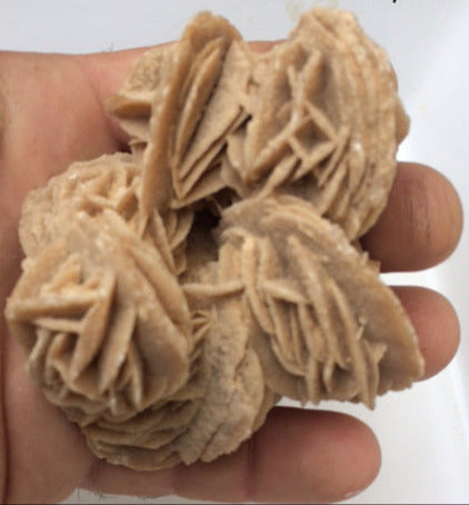 Gypse (variété Sélénite) / Rose des sables - Pièce naturelle de 50 × 50 × 30 mm - 30 grammes !