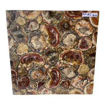Table carré en tranches de Bois Fossile, 60 x 60 x 3 cm. Parfait pour fabriquer la table de vos rêves ou en décoration, exposition...