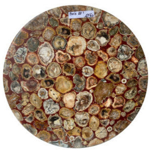 Table Ronde en tranches de Bois Fossile, 60 x 3 cm. Parfait pour fabriquer la table de vos rêves ou en décoration, exposition...